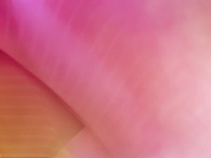 数字化转型使用技巧：内容管理系统的数字化